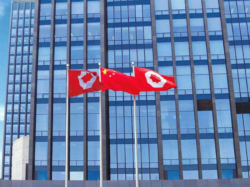 China National Building Material Group Co. Ltd